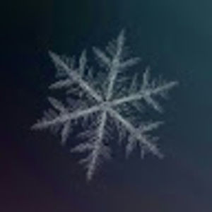 Meet your Posher, Tamara